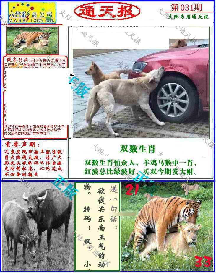 031期大陆通天报[图]